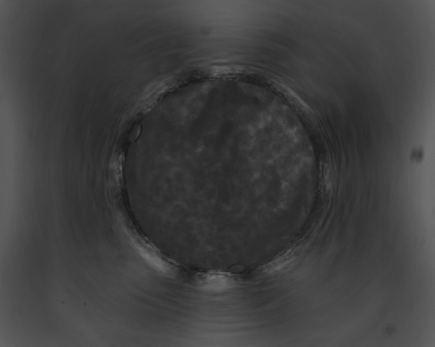 X0000091170475200708301159