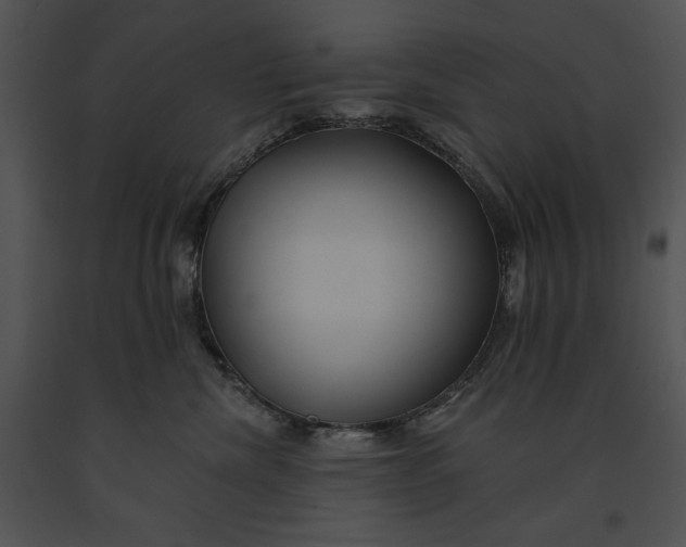 X0000091170476200708301159