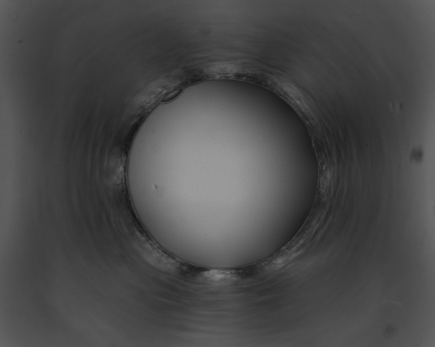 X0000091170477200708301159