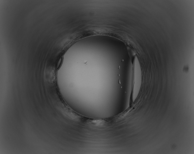 X0000091170478200708301159