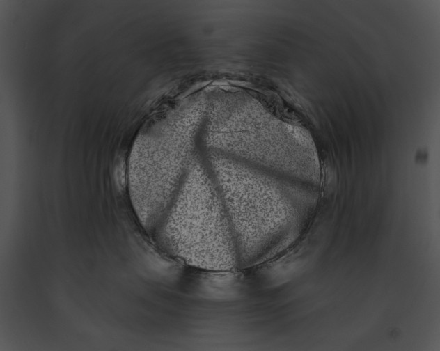 X0000091170479200708301159