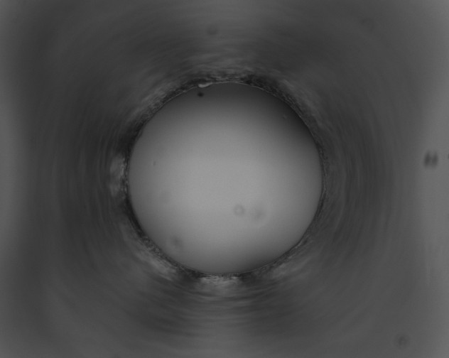 X0000091170480200708301159