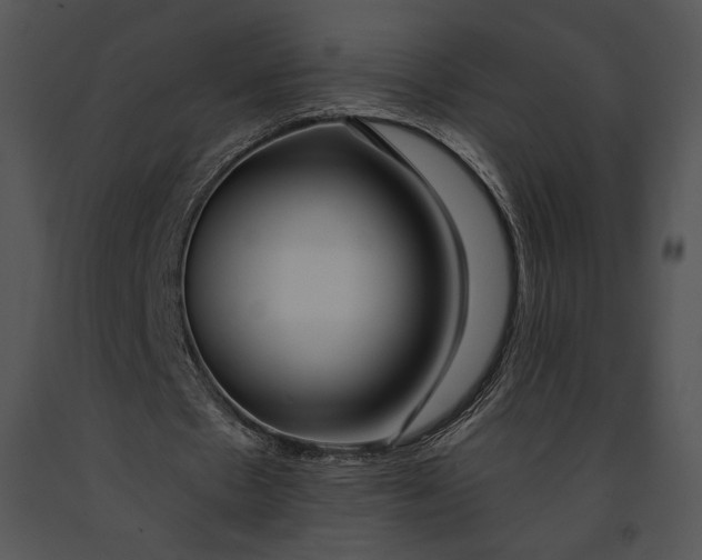 X0000091170481200708301158