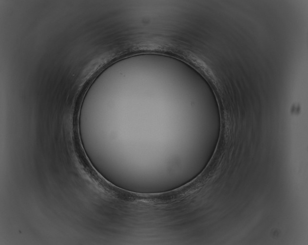 X0000091170482200708301158