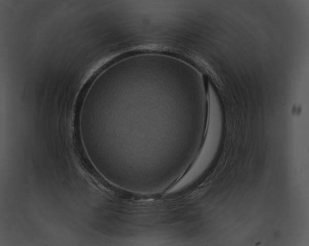 X0000091170484200708301158