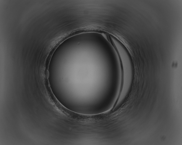 X0000091170485200708301158