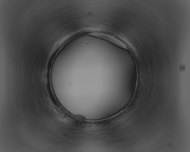 X0000091170486200708301158