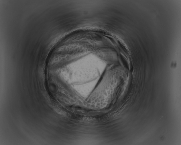 X0000091170487200708301158