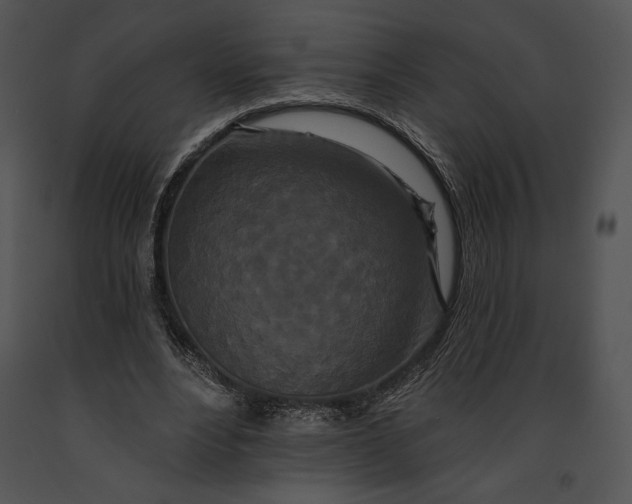 X0000091170488200708301158