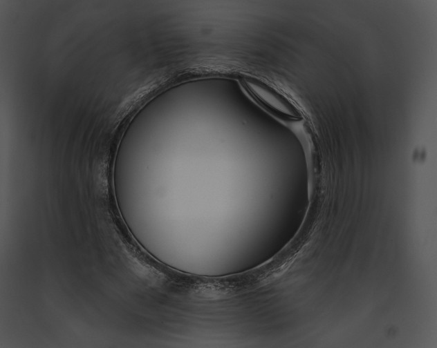 X0000091170489200708301158