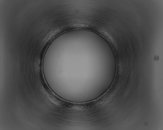 X0000091170490200708301158