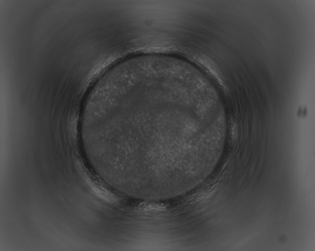 X0000091170491200708301158