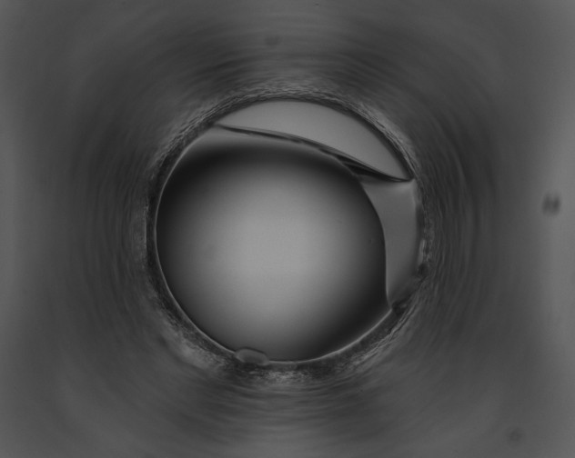 X0000091170493200708301158