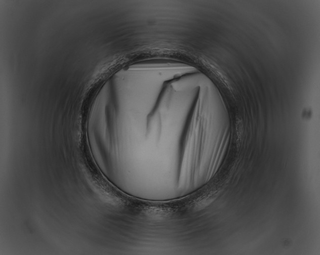 X0000091170494200708301158