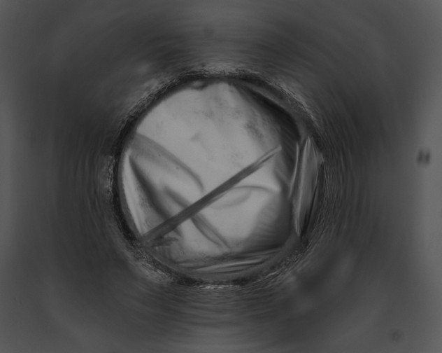 X0000091170495200708301158