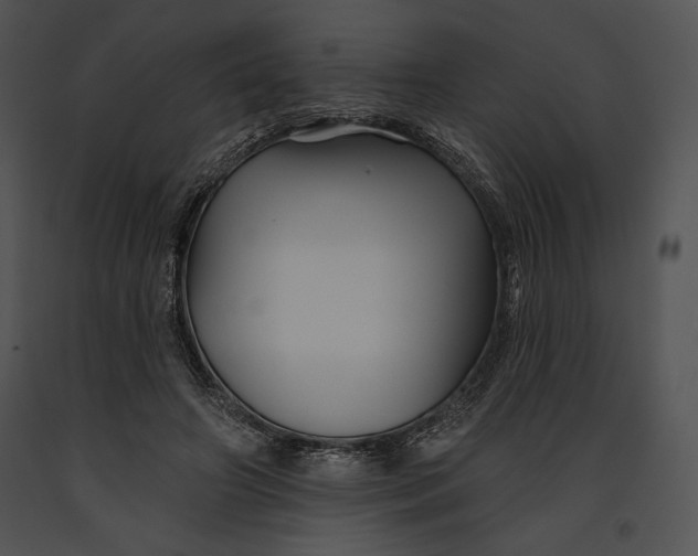 X0000091170498200708301158