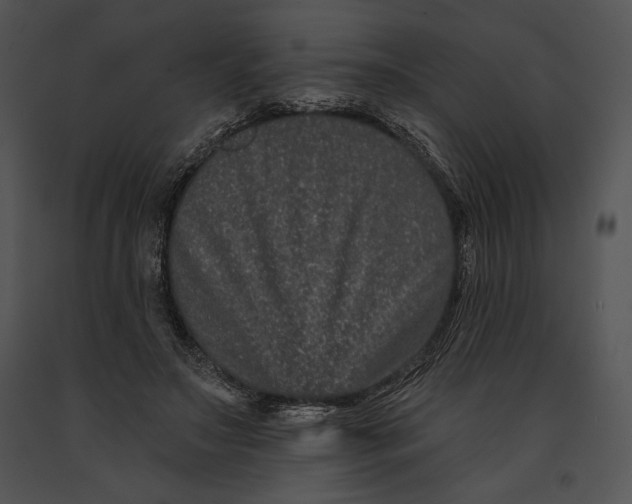 X0000091170499200708301158