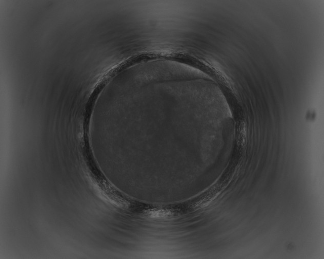 X0000091170500200708301158