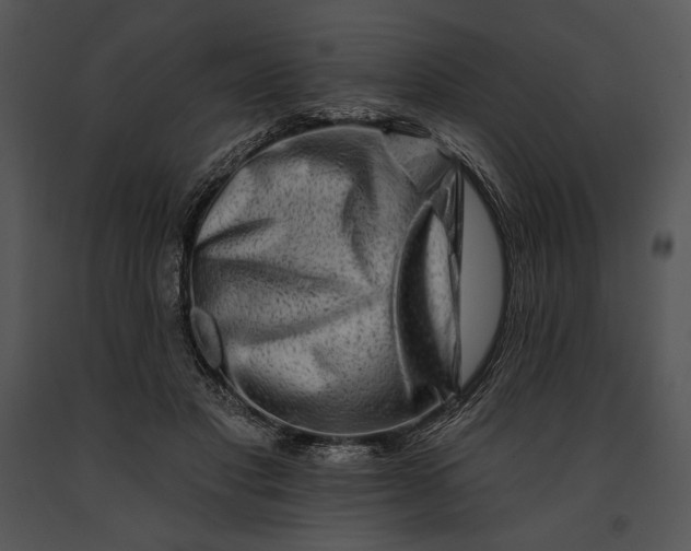 X0000091170501200708301158