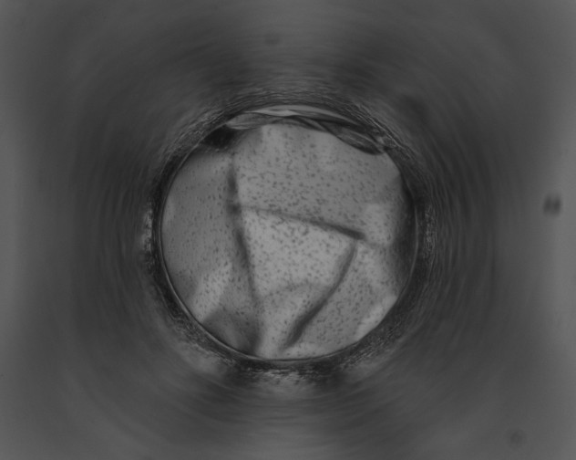 X0000091170502200708301158