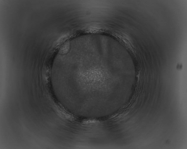 X0000091170503200708301158