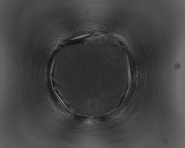 X0000091170504200708301158