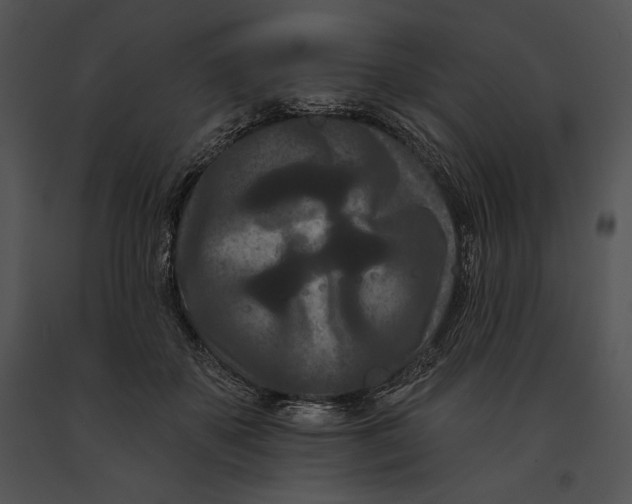 X0000091170507200708301158