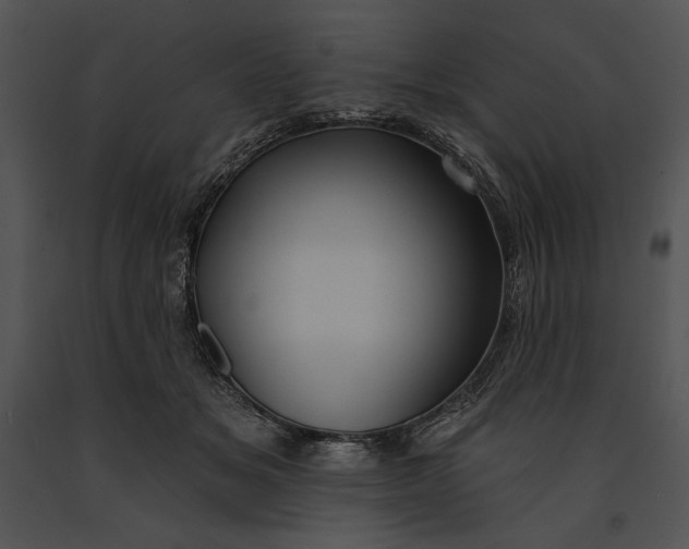 X0000091170509200708301158