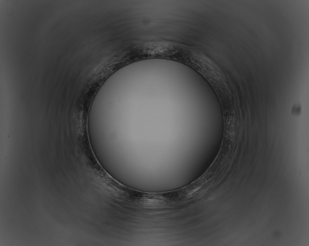 X0000091170510200708301158