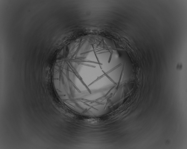 X0000091170511200708301158