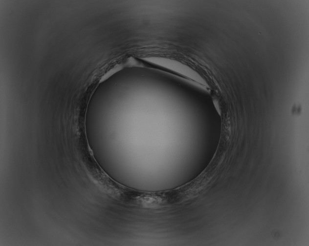 X0000091170512200708301158