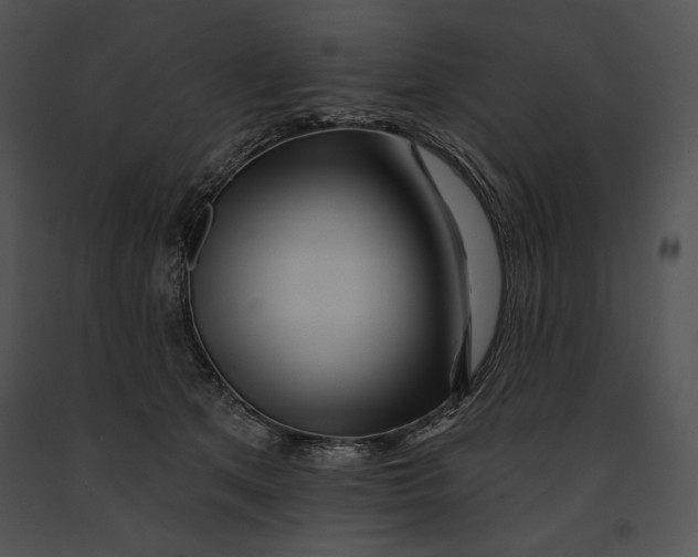 X0000091170513200708301158