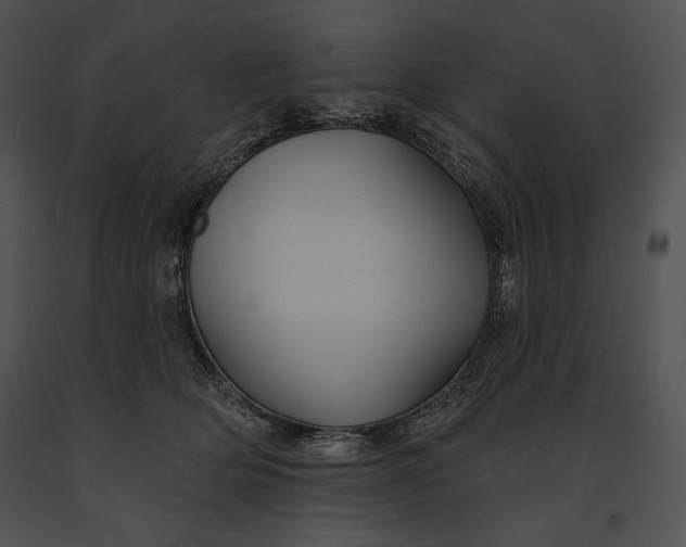 X0000091170514200708301158