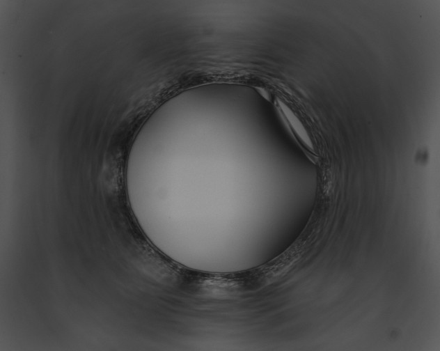 X0000091170515200708301158