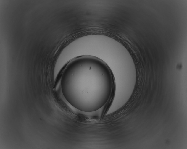 X0000091170516200708301158