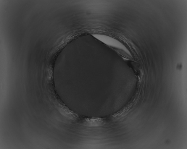 X0000091170517200708301158