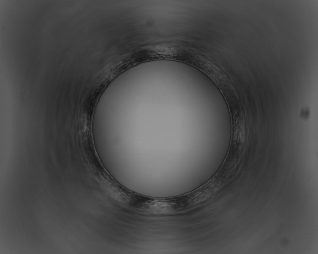 X0000091170518200708301158