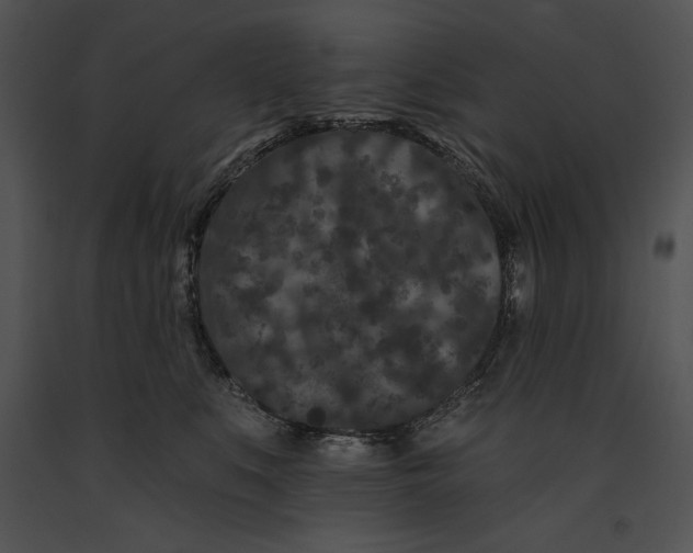 X0000091170519200708301158