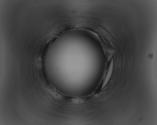 X0000091170520200708301158