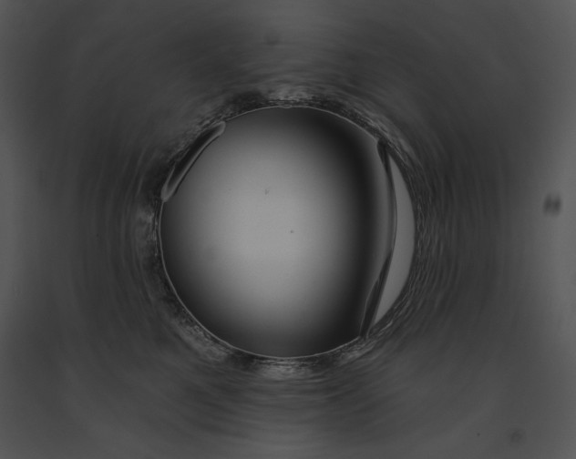 X0000091170521200708301158