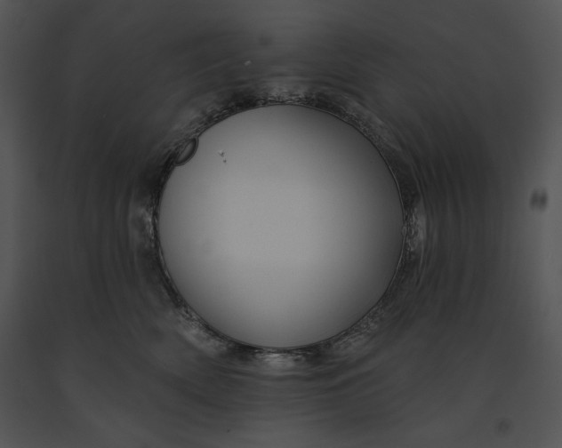 X0000091170522200708301158