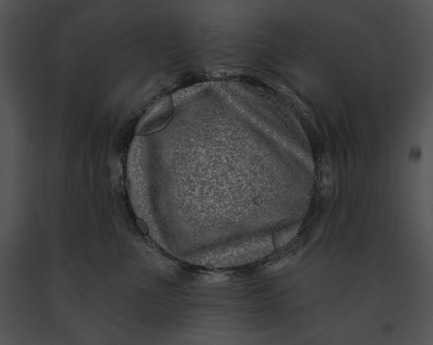 X0000091170523200708301158