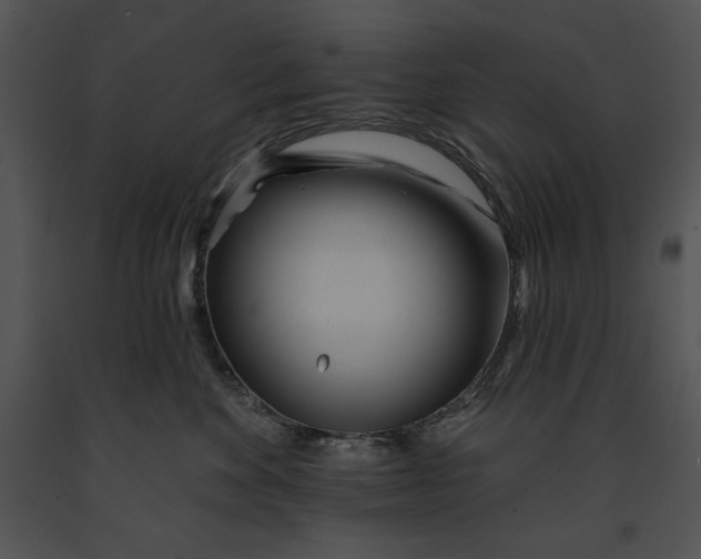 X0000091170524200708301158