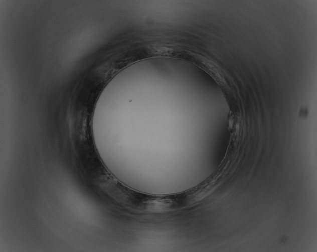 X0000091170525200708301158