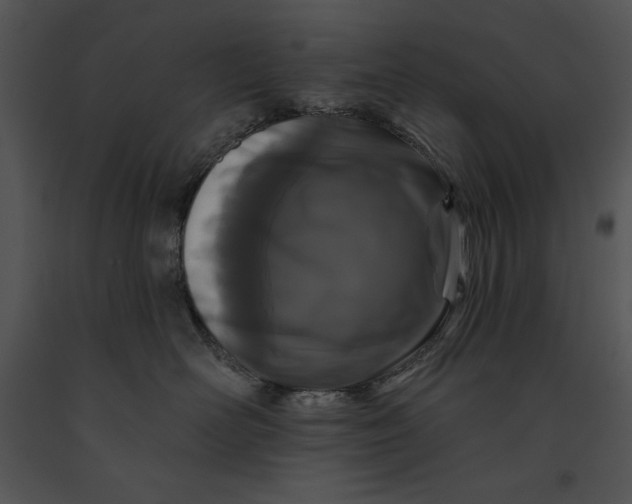 X0000091170526200708301158