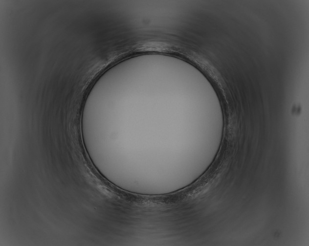 X0000091170529200708301157