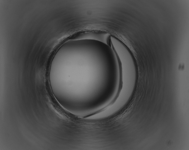 X0000091170530200708301157