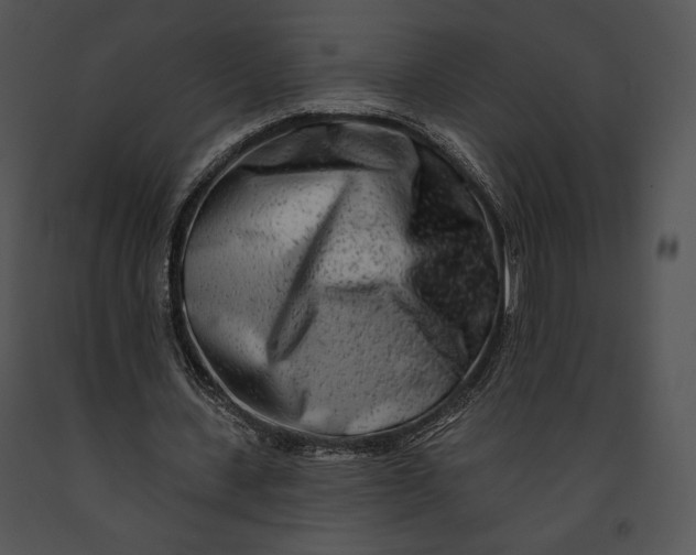 X0000091170531200708301157