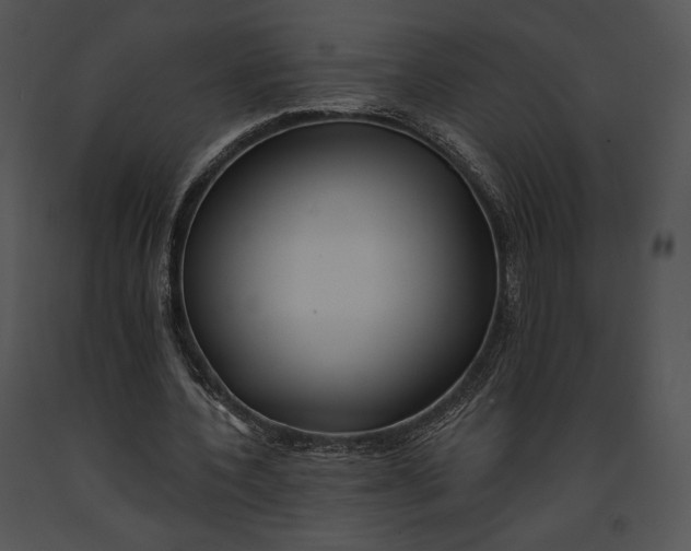 X0000091170532200708301157