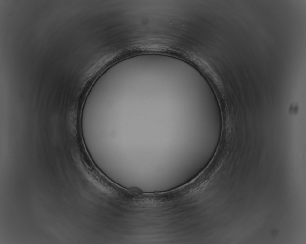 X0000091170533200708301157